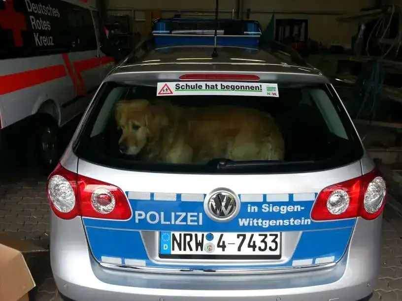 Polizeiwagen Heckaufkleber – Einsatz- & Sonderfahrzeuge von Münch Werbetechnik