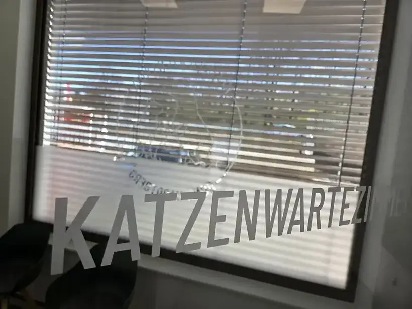 Fensterfolie Katzenwartezimmer – Glas, Fassade & Gebäude von Münch Werbetechnik Siegen